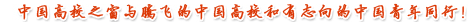 中国棋牌完整版游戏官方网站
